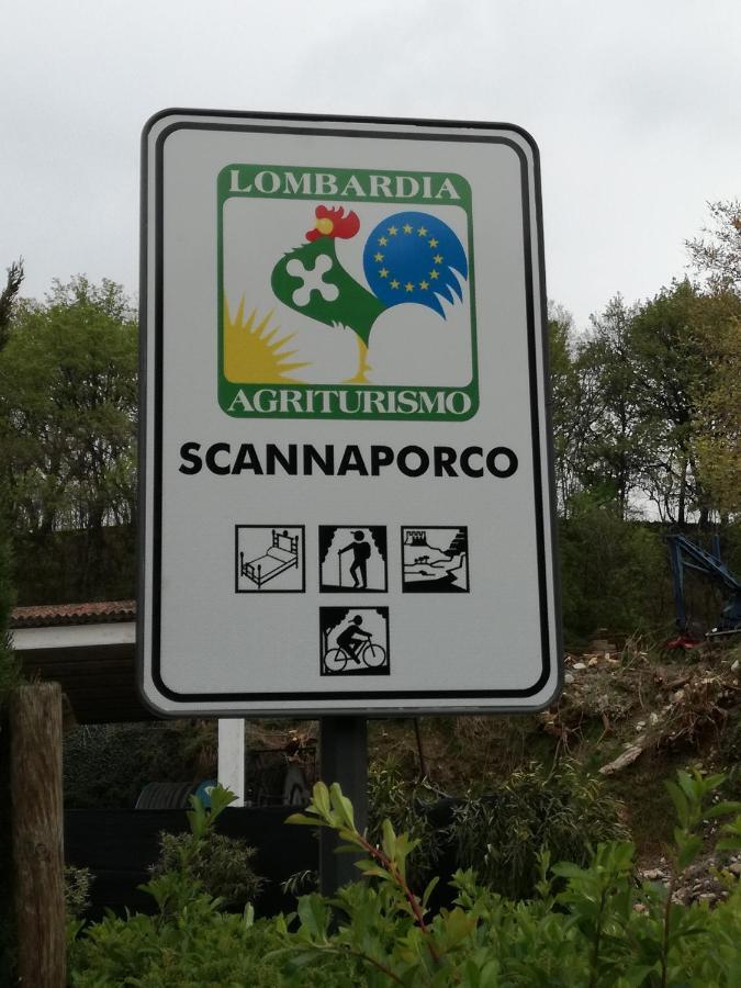 Agriturismo Scannaporco Cavriana Zewnętrze zdjęcie